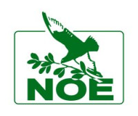 TV Noe - logo –