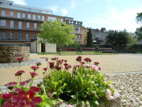 škola - školní dvůr – školní dvůr a zahrada